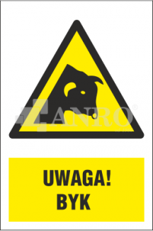 W034%201